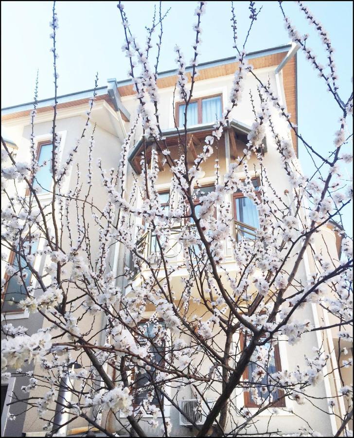 Aia Hotel Τυφλίδα Εξωτερικό φωτογραφία